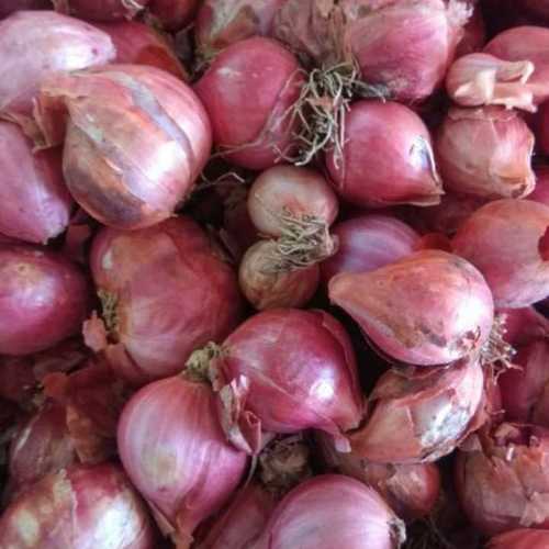 Ball Sambar Small Red Onion