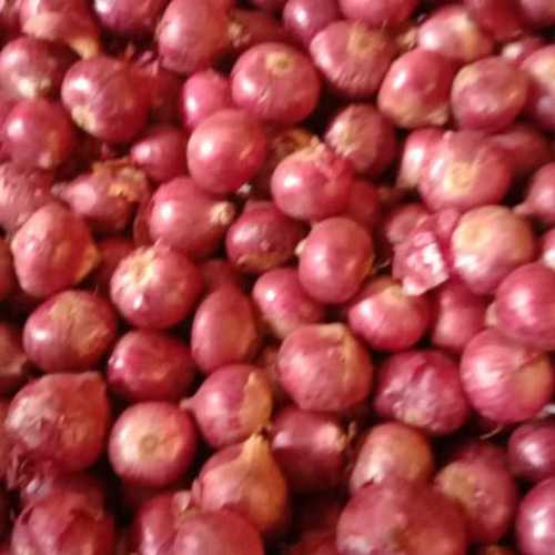 Ball High Grade Red Onion