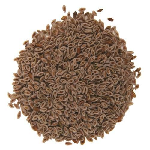 High in Protein Food Grade Psyllium Husk