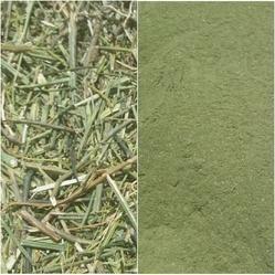 Kalmegh Powder (Nilavembu) (Andrographis Paniculata) Ingredients: Herbal Extract