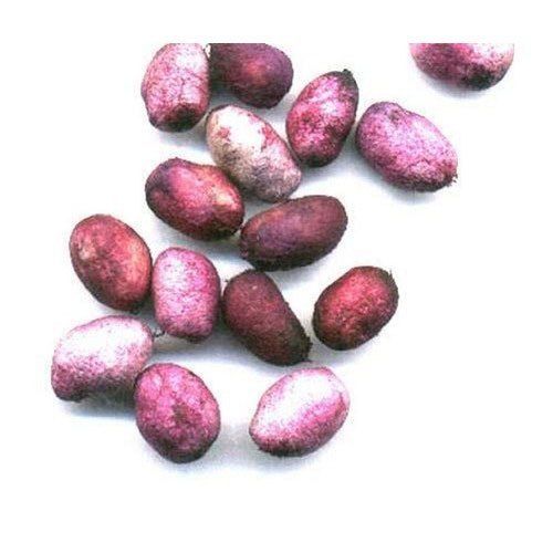 Natural Jamun Seeds