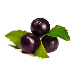 Fresh Herbs Acai Berry Extract