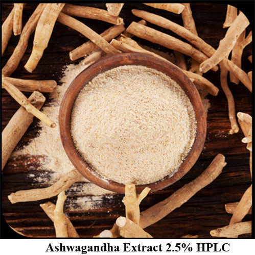 Ashwagandha Extract 2.5% HPLC Powder