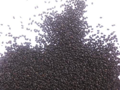 Hygienically Processed Basil Seeds