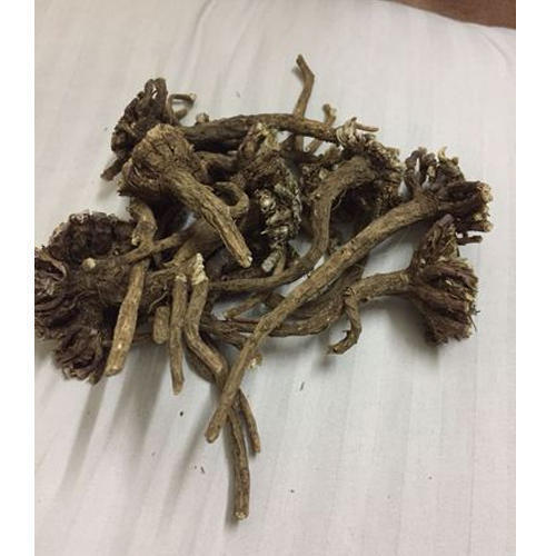 Organic Akarkara Root