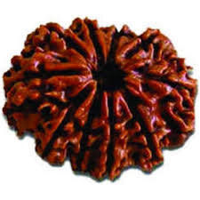 Beads Brown Color Natural Rudraksha