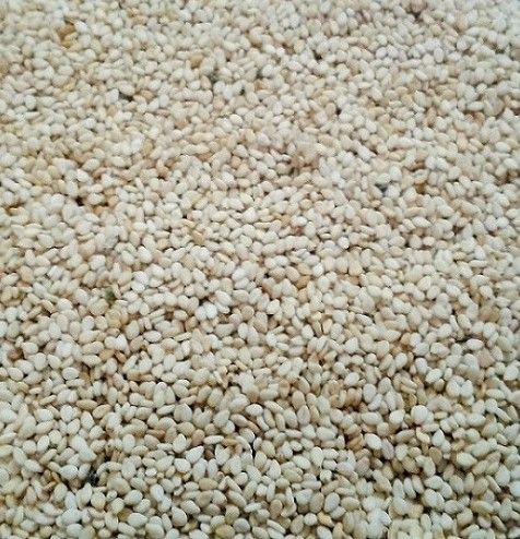 Sudan Natural White Sesame Seeds Admixture (%): 1% Max