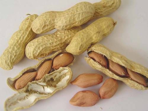 Sudan Raw Peanut Kernel (Groundnut Kernel) Broken (%): 2% Max