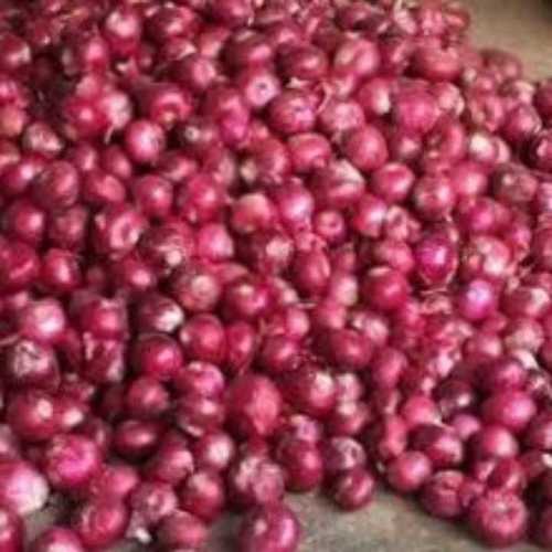 Small Onion (Sambar Onion)