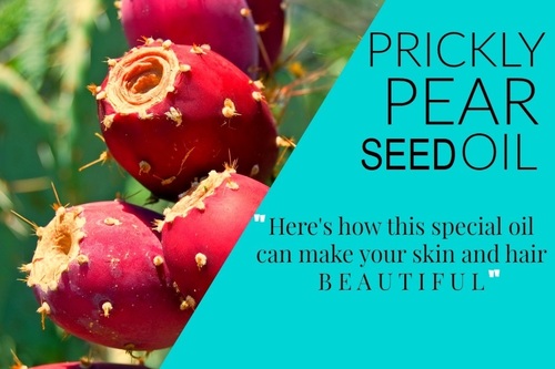 Organic Prickly Pear Seed Oil Grade: Premium