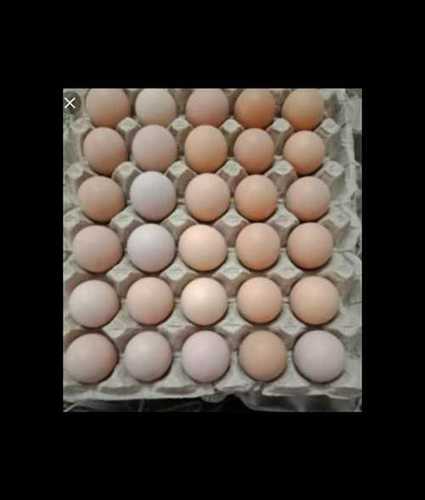 Low Fat Content Kadaknath Eggs Egg Origin: Chicken