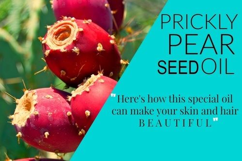 Prickley Pear Seed Oil For Anti Aging