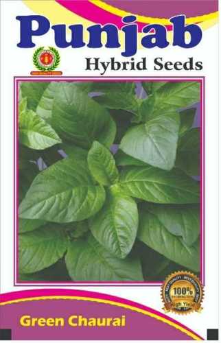 Hybrid Pumpkin Seeds For Vegetable