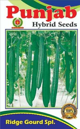 Hybrid Ridge Gourd Seeds