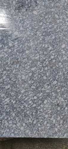 Sliver White Granite Slab