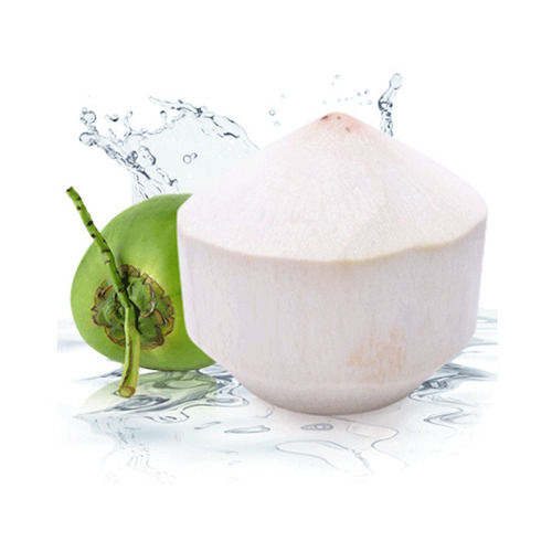 Vietnam Fresh Young Coconut (Diamond Shape)