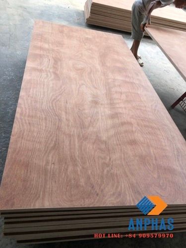 Vietnam Wbp Commercial Plywood Core Material: Harwood