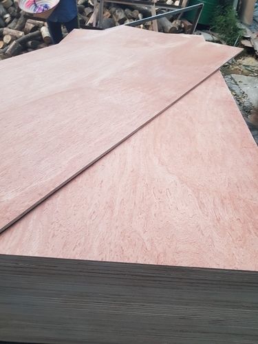 Ab Glue Mr Commercial Plywood Board Core Material: Combine