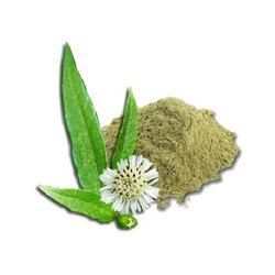 Ayurvedic Bhringraj Powder Ingredients: Herbs