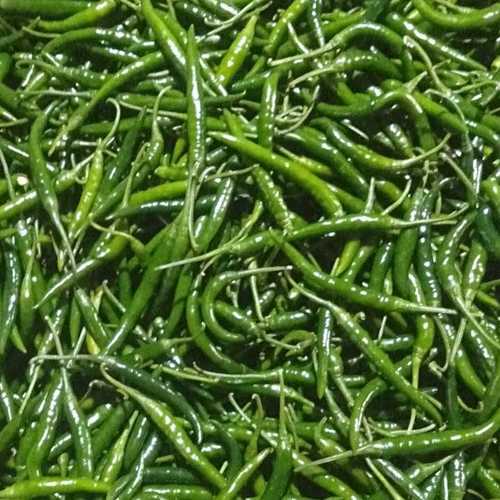 Fresh Green Chilli (Hari Mirch)