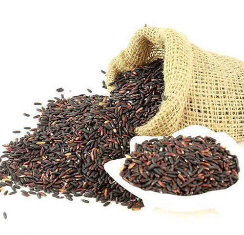 Common Natural Black Rice Seeds For Agriculture