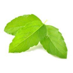 Tulsi Leaves For Asthma, Bronchitis, Colds, Congestion, Coughs, Flu, Sinusitis, Sore Throat