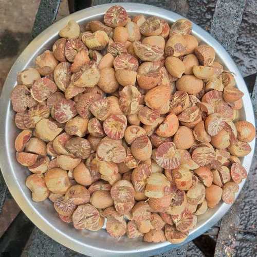 Arecanut and Betel Nut Split (CF)