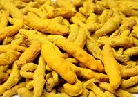 Yellow Dried Organic Turmeric Finger