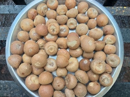Natural Whole Areca Nut