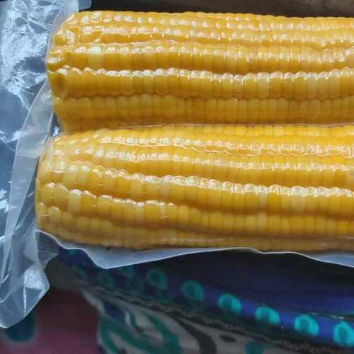 Vacuum Packed Sweet Corn On Cob