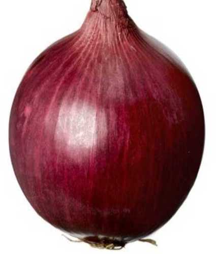 Round Farm Fresh Red Onion