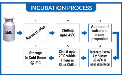 Incubation and Blast Chiller Room for Curd