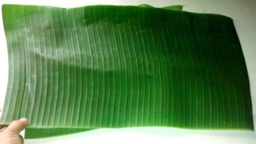 Green Color Banana Leaf