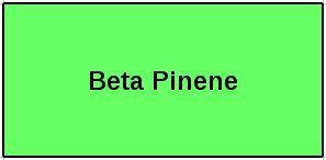 Beta Pinene