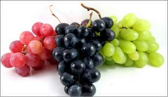 Absolutely Delicious Fresh Grapes