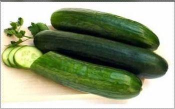 Round Good For Health Fresh Cucumber