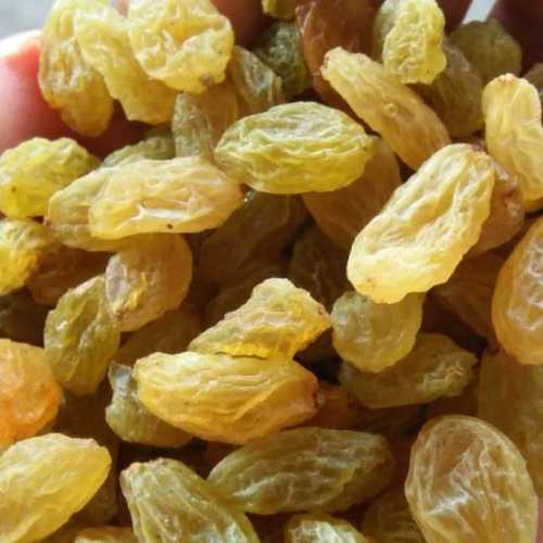 Golden & Greenish Natural Dried Kishmish (Raisin)