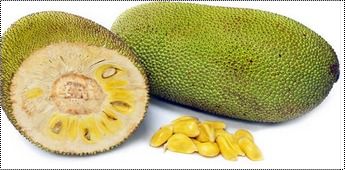 Fresh High Nutritional Jackfruit