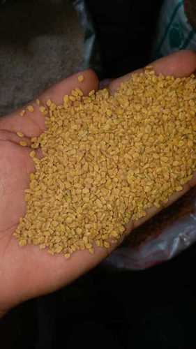 Yellow Gluten Free Fenugreek Seeds