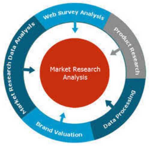 Market Survey Services