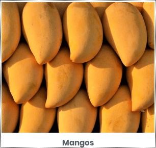Delicious Taste Fresh Mango