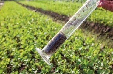 Soil Testing Services