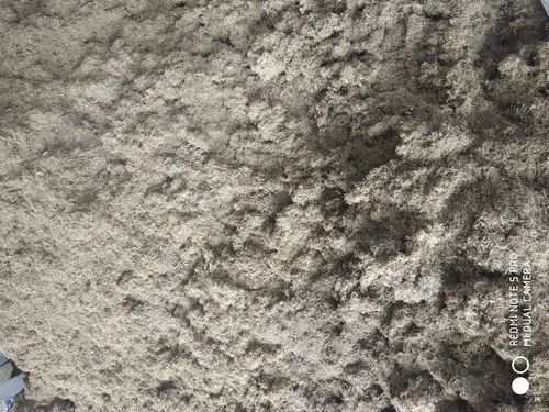 बायो एग्रो वेस्ट एंड ब्रिकेट्स