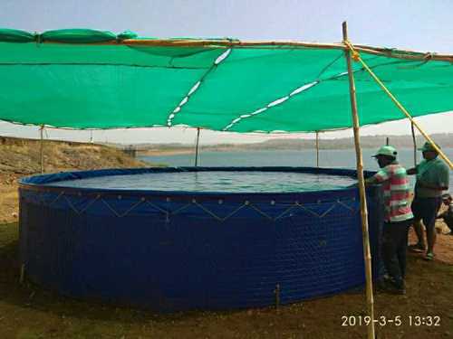 Leak Resistant Biofloc Fish Tank