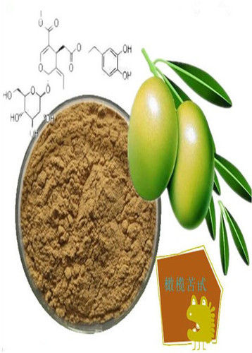 Olive Leaf Extract Powder