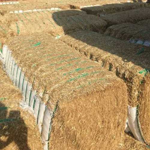 Best Price Wheat Husk Bales