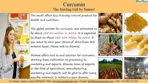 Curcumin 95%