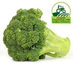 Green Color Fresh Broccoli Shelf Life: 3-6 Days