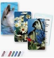 Lenticular Luggage Tags