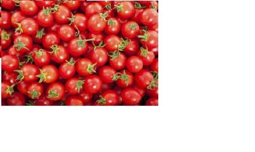 Red Color Cherry Tomato